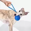 Cheerble Wicked Ball Air Rope -koiranlelu, Royal Blue