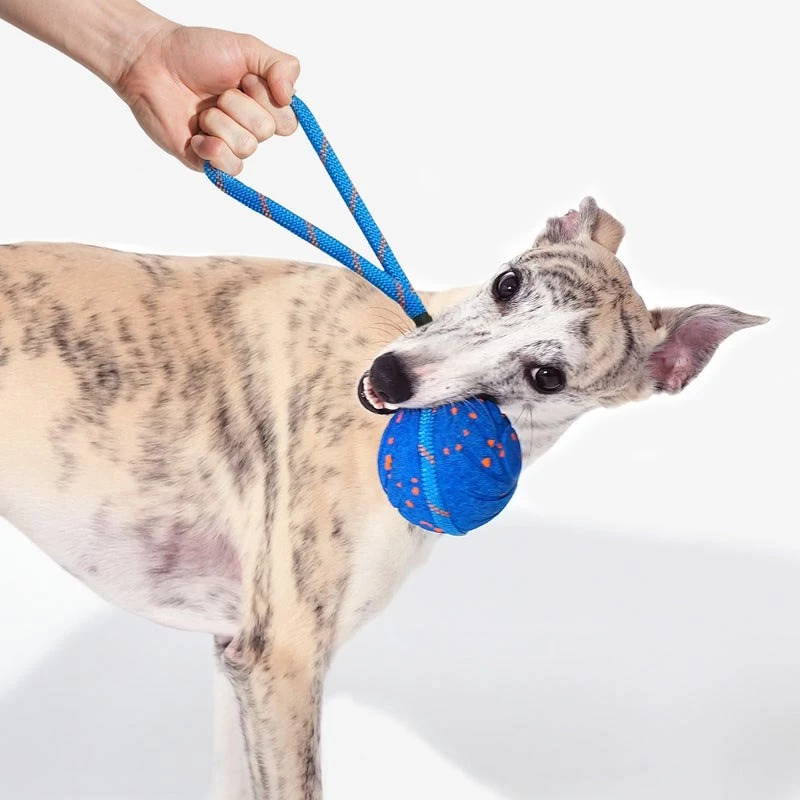 Cheerble Wicked Ball Air Rope -koiranlelu, Royal Blue