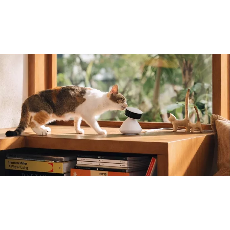 PETLIBRO Scout Smart AI -kamera