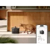 Petlibro Dockstream App-vesisuihkulähde, musta