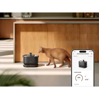 Petlibro Dockstream App-vesisuihkulähde, musta