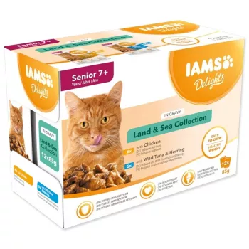 IAMS Delights Senior Land & Sea Collection kastikkeessa 12x85g