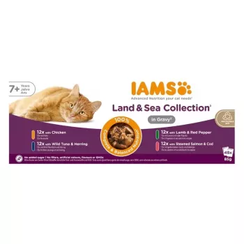 IAMS Delights Senior Land & Sea Collection kastikkeessa 12x85g