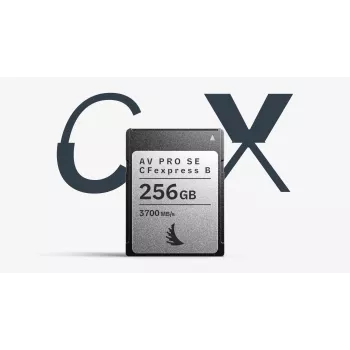 Angelbird AV PRO SE CFexpress Type B 256GB muistikortti