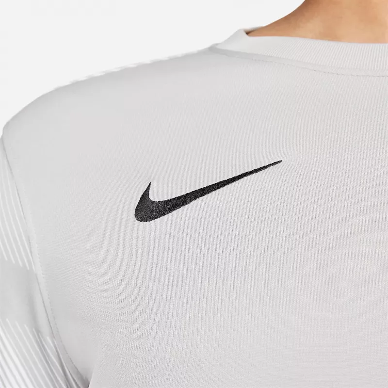 Nike Dry Park IV JSY LS GK miesten maalivahtitreenitakki harmaa CJ6066 052 2XL