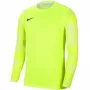 Nike Dry Park IV JSY LS GK Lime maalivahtipaita CJ6066 702 M