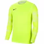 Nike Dry Park IV JSY LS GK Lime maalivahtipaita CJ6066 702 2XL