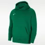 Nike Park 20 fleece-puuvillahuppari mäntynvihreä CW6896-302