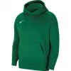 Nike Park 20 fleece-puuvillahuppari mäntynvihreä CW6896-302