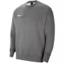 Nike Park miesten collegepaita Dark Grey Heather CW6902 071