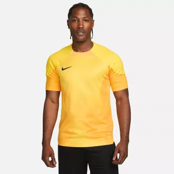 Nike Dri-FIT ADV Gardien IV miesten maalivahdin pelipaita Opti Yellow/musta M