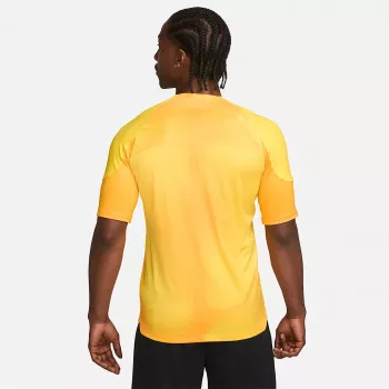 Nike Dri-FIT ADV Gardien IV miesten maalivahdin pelipaita Opti Yellow/musta M