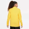 Nike Dri-FIT Academy 23 harjoitustakki lasten Opti keltainen/musta DR1356-719
