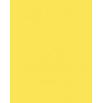 Folia 614/50 12 keltainen A4 kartonki 300 g/m² 50 arkkia