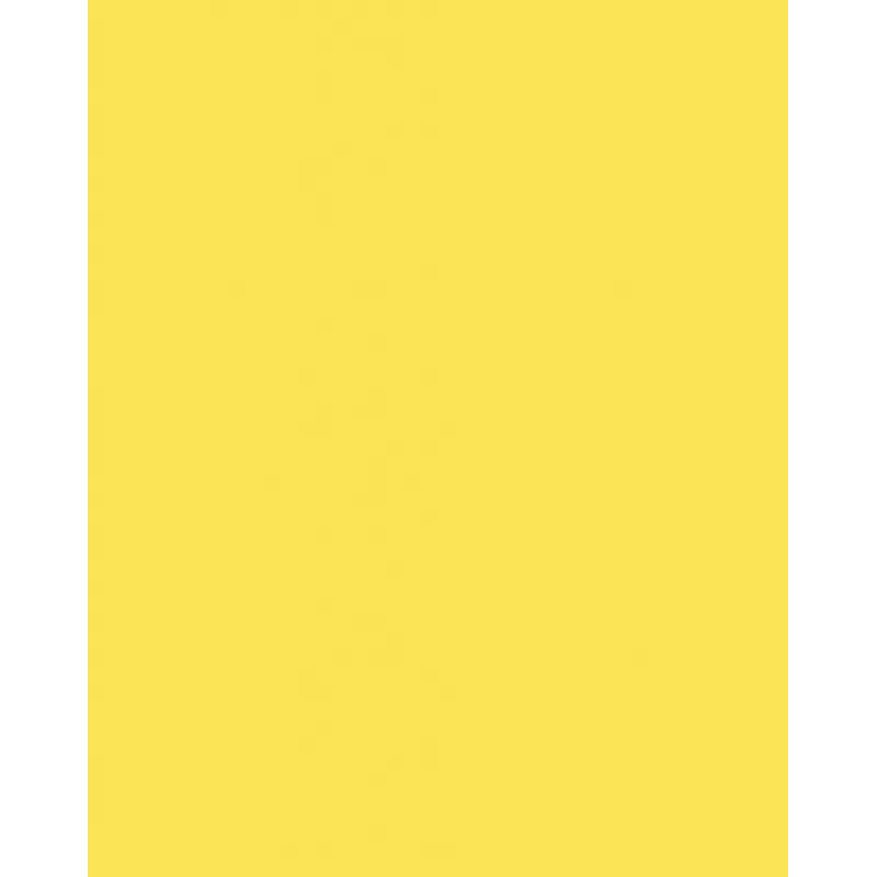 Folia 614/50 12 keltainen A4 kartonki 300 g/m² 50 arkkia