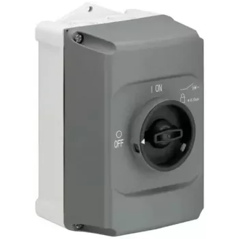 ABB STOTZ-KONTAKT eristekotelo IB132-G, 2-moduulinen, pinta-asennus, IP30, valkoinen (1SAM201911R1010)
