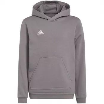 adidas Entrada 22 huppari harmaa nuoret 140 cm