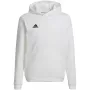adidas Entrada 22 huppari valkoinen HG6303 140cm