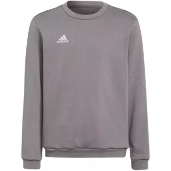 adidas Entrada 22 collegepaita lapset harmaa collegepaita H57477 (116 cm)