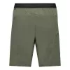 Salewa Pedroc 4 DST Cargo -shortsit miehet Faded Green koko S