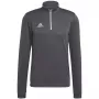 adidas Entrada 22 harjoittelupaita harmaa H57546 S