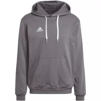 adidas Entrada 22 huppari harmaa HB0578 M