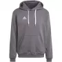 adidas Entrada 22 huppari harmaa HB0578 M