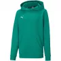 PUMA teamGOAL 23 Casuals huppari junior collegepaita metsänvihreä 128