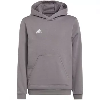 adidas Entrada 22 huppari keskiharmaa Heather lasten 128 cm