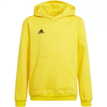 adidas Entrada 22 huppari Team Yellow lasten koko 116