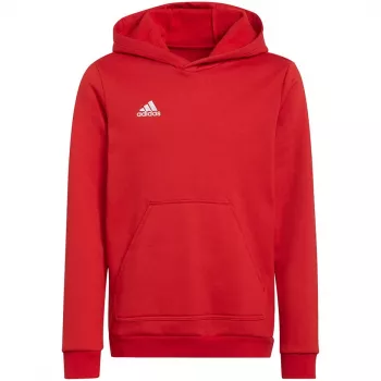 Adidas Entrada 22 huppari lasten punainen H57566 128 cm