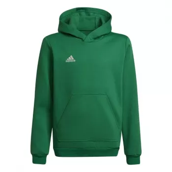 adidas Entrada 22 huppari lasten collegepaita vihreä 116 cm