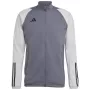 adidas Tiro 23 Competition miesten treenipaita harmaa HP1908