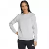 adidas Entrada 26 naisten collegepaita harmaa M