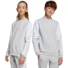 adidas Squadra 25 Sweat Crew lasten collegepaita harmaa JD4824 152 cm