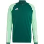 adidas Tiro 23 Competition miesten treenicollegepaita Team Green HU1308