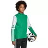 adidas Squadra 25 lasten treenipaita vihreä/valkoinen JP3160 164 cm