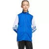adidas Squadra 25 treenitakki junioreille Team Royal Blue/valkoinen 140 cm