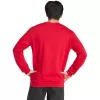 adidas miesten Entrada 26 collegepaita punainen M