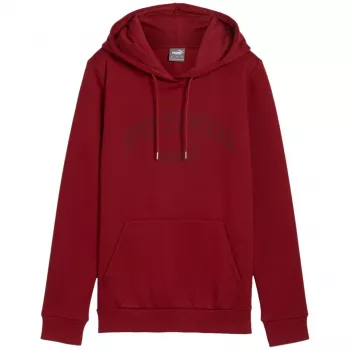 PUMA miesten Essentials+ Logo LAB huppari FL Bordeaux koko L