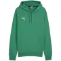 PUMA Team Goal Casuals huppari Forest Night miesten Medium