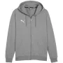 PUMA Team Goal Casuals huppari hupulla harmaa