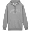 PUMA Essentials+ Logo LAB Gradient huppari - keskiharmaa melange - miehet M