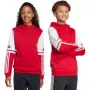 adidas Squadra 25 Sweat-Hoodie lasten Team Power Red JD4805 140 cm