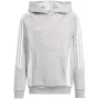adidas Tiro 24 Hooded Sweat harmaa IR7505 junior 152cm
