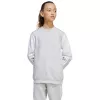 adidas Squadra 25 Crew lasten collegepaita - harmaa (JD4824) 164cm