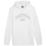 PUMA ESS+ Logo LAB Gradient huppari FL Puma White Medium