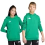 adidas Entrada 26 lasten huppari JZ6563 Team Green 152 cm