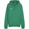 PUMA TeamGoal Casuals huppari miesten Forest Night Green collegehuppari 658618 05