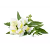 Click & Grow Smart Garden täyttöpakkaus, 3 kasvikapselia (SGR78X3)